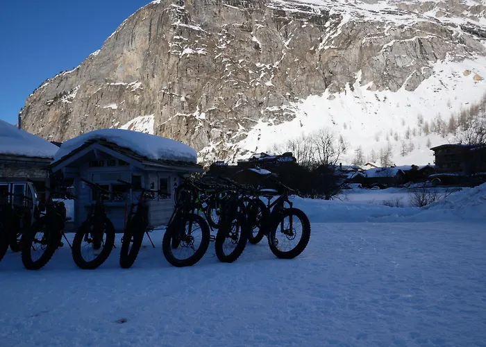 Maisons De Montagne Le Samovar 4* La Daille